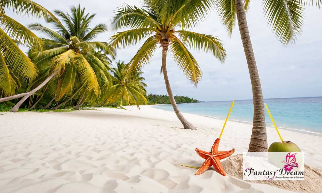 Свадебное путешествие в Ливию советы для незабываемого отдыха