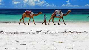 Лучшие пляжи Кения: отдых и сафари в одном путешествии