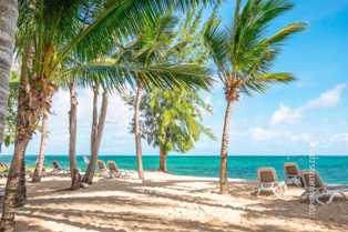 Пляжный отдых на острове Маврикий: белоснежный песок и безмятежная атмосфера
