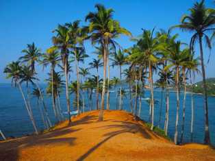 Шри-Ланка: райские пляжи и культурное наследие