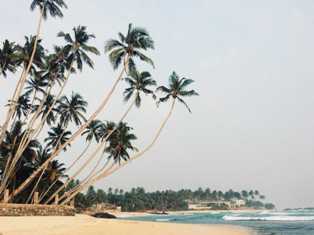 Волшебные пляжи Шри-Ланки: уютные уголки рая